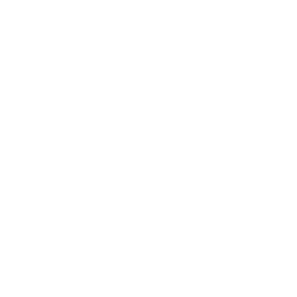 Codex